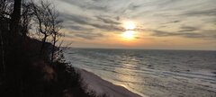 IMG_20250305_164820.jpg