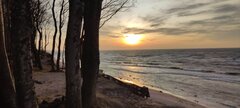 IMG_20250305_170606.jpg