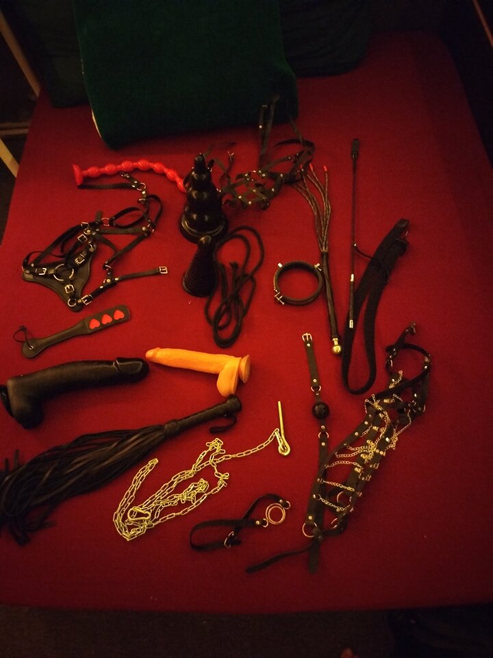 IMG_20250111_162018.jpg - NietoperzKlub