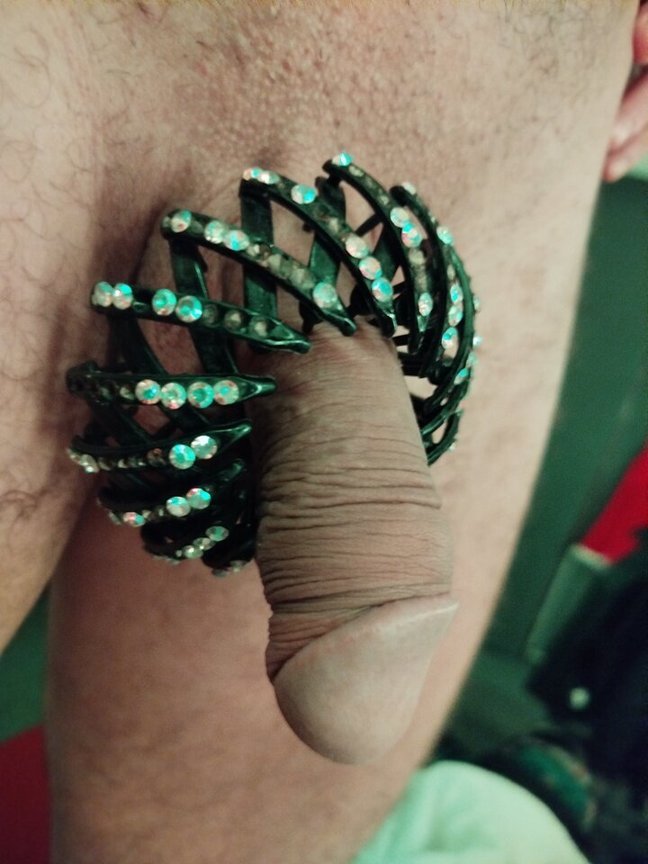 IMG_20250105_151620.jpg - NietoperzKlub