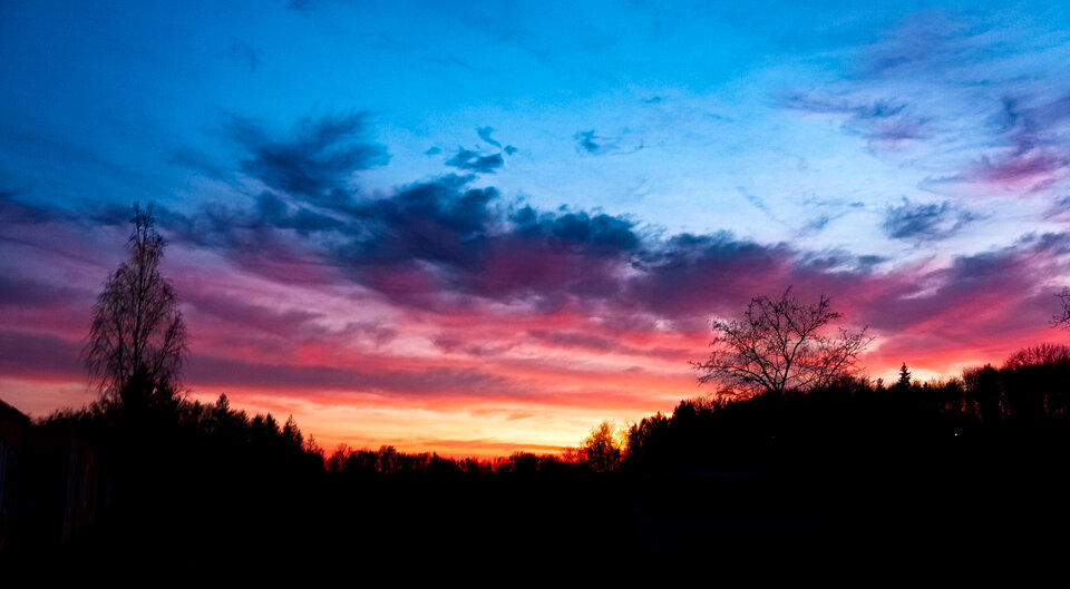 IMG_5054.JPG - Roscoo