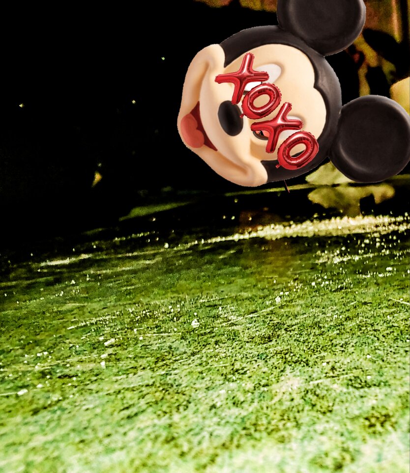 1000018113.jpg - reealnyy