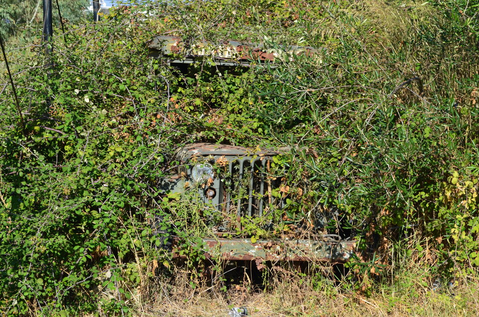 DSC_0963.JPG - krakowskismog