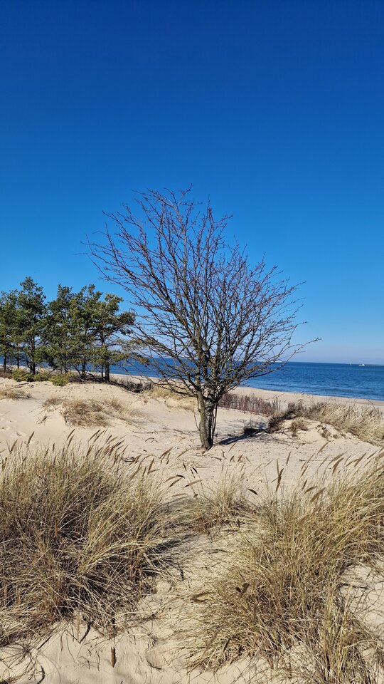 1000090593.jpg - HardSport