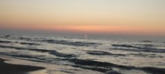 IMG_20250306_173711.jpg