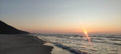 IMG_20250306_172926.jpg