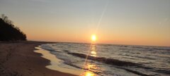IMG_20250306_171825.jpg