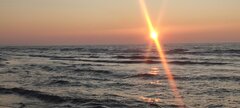 IMG_20250306_172630.jpg