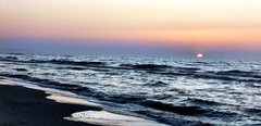 IMG_20250306_173603.jpg