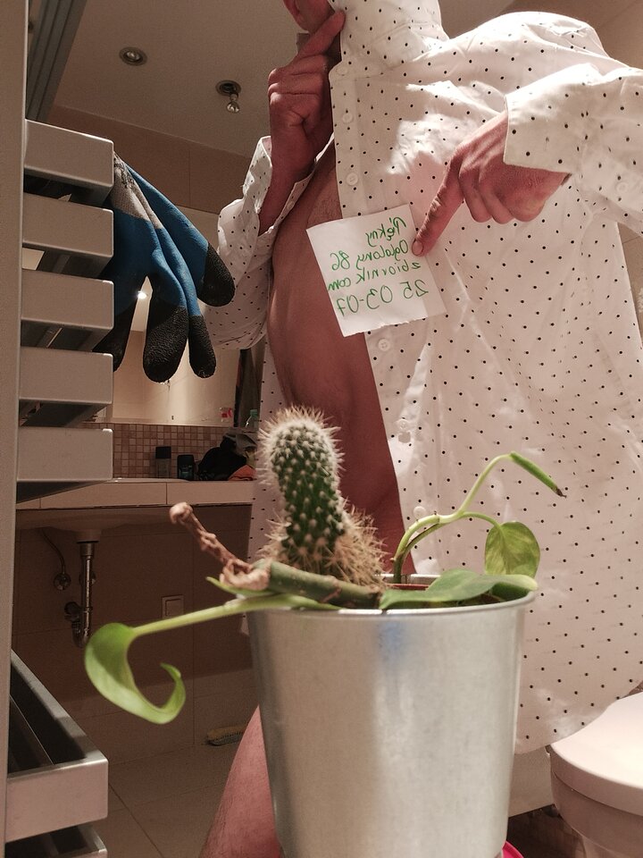 IMG20250307004148.jpg - Pieknyogolony86