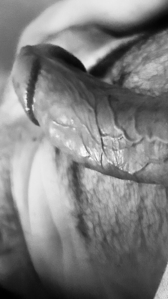 IMG_3515.jpeg - bondjames728