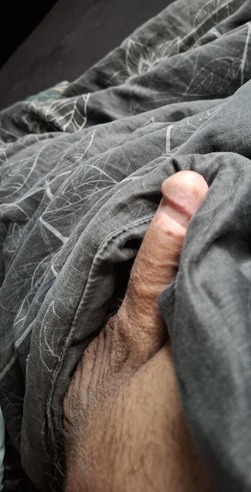 1000001670.jpg - Faustero