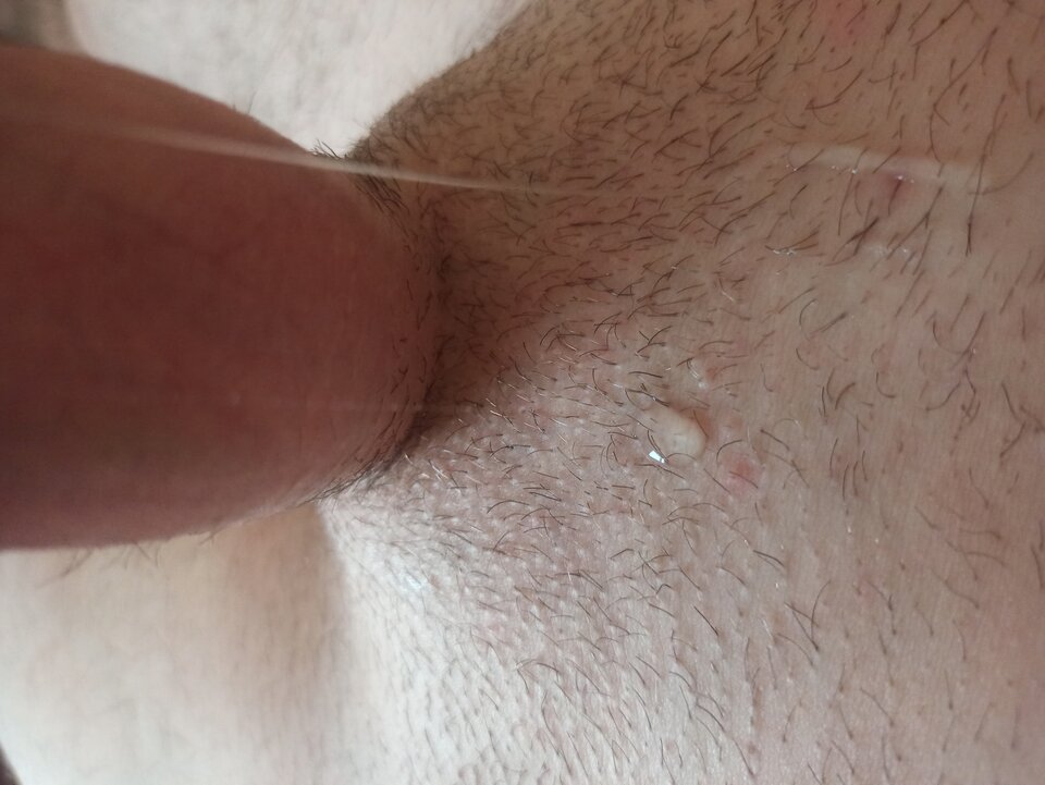 IMG_20250307_083326.jpg - Karateka84