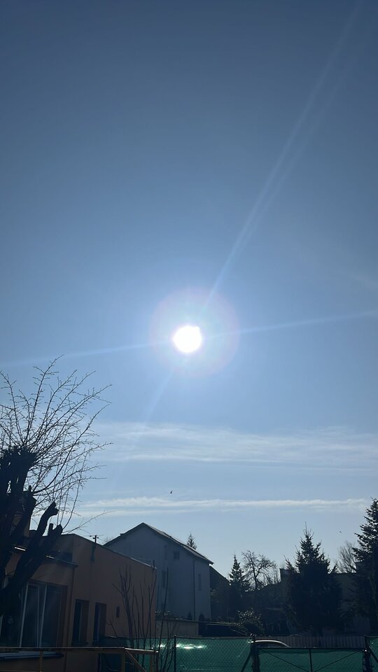 IMG-20250307-WA0001.jpg - Markus1000