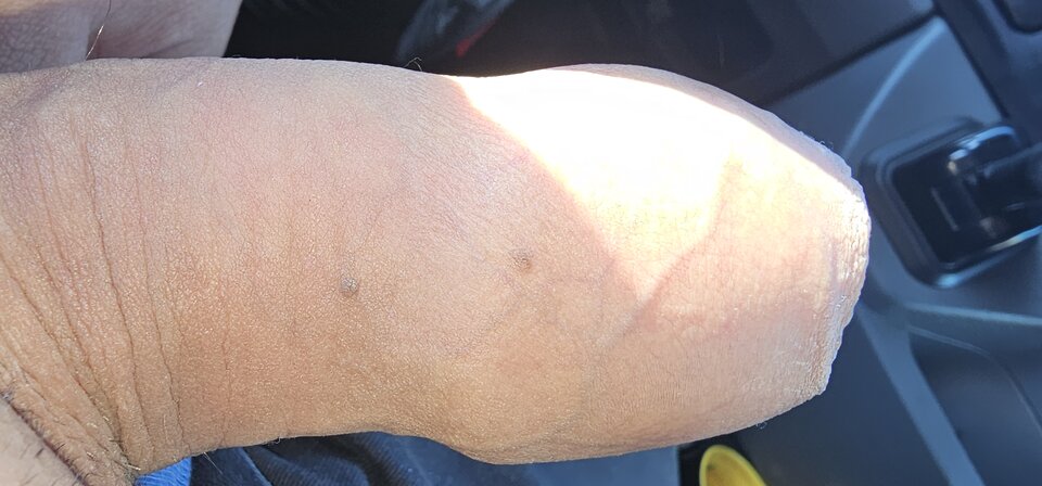 attach (1).jpeg - cyran26