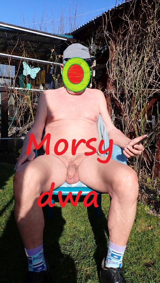 W zimowym słoneczku. - Morsy_dwa