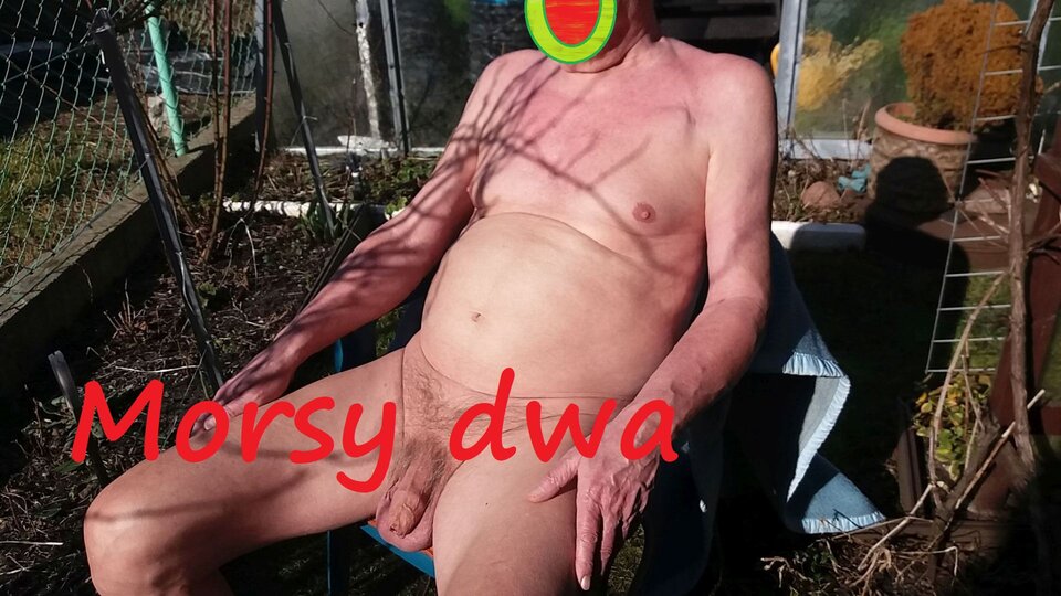 W zimowym słoneczku. - Morsy_dwa