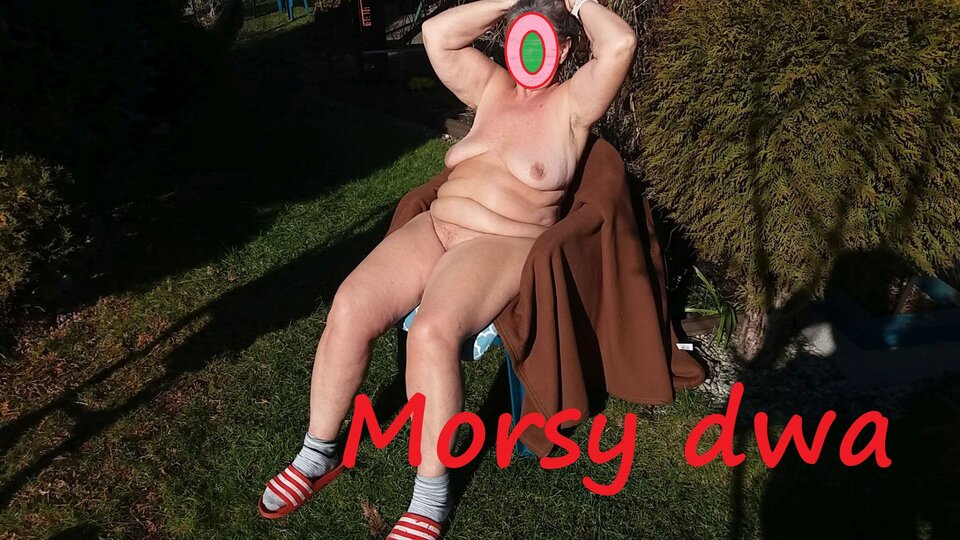 W zimowym słoneczku. - Morsy_dwa