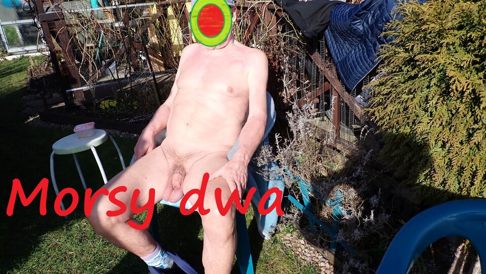 W zimowym słoneczku. - Morsy_dwa
