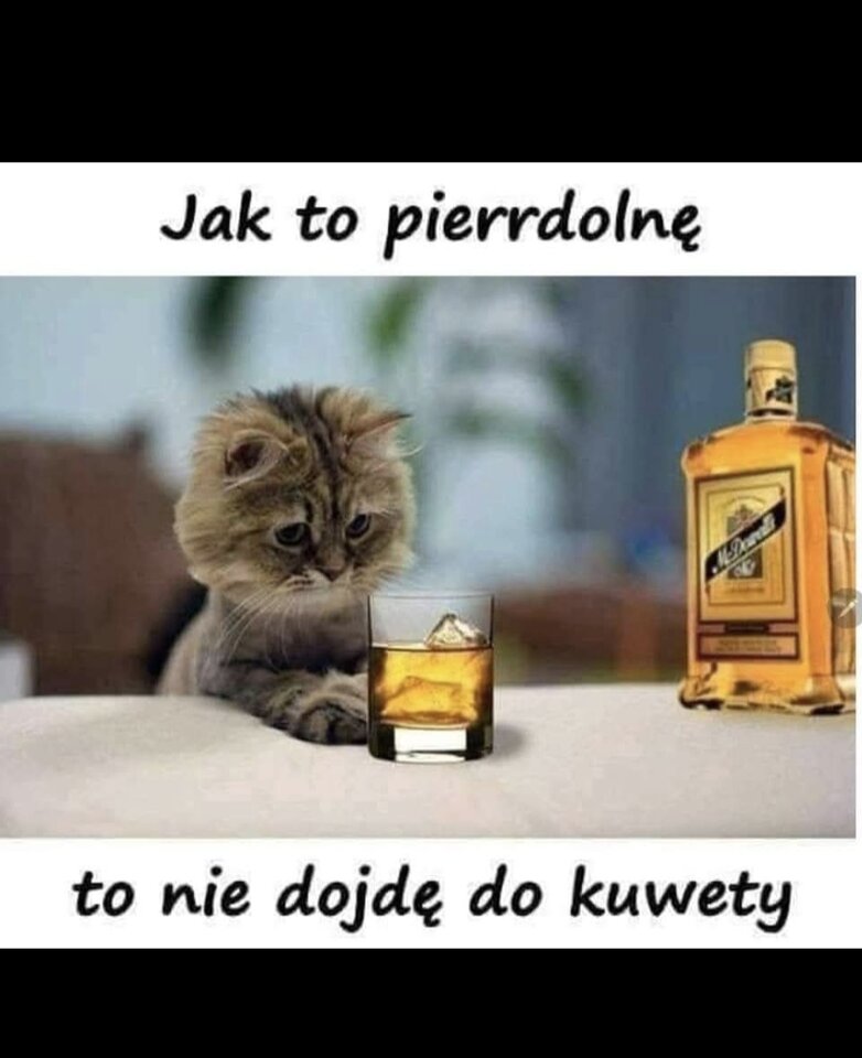 1000020610.jpg - Miniek234