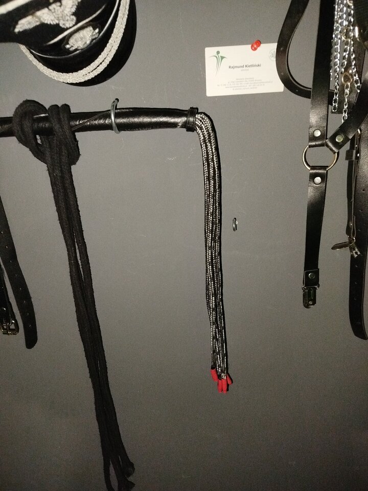 IMG_20241203_230345.jpg - NietoperzKlub