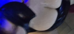 1000061744.jpg