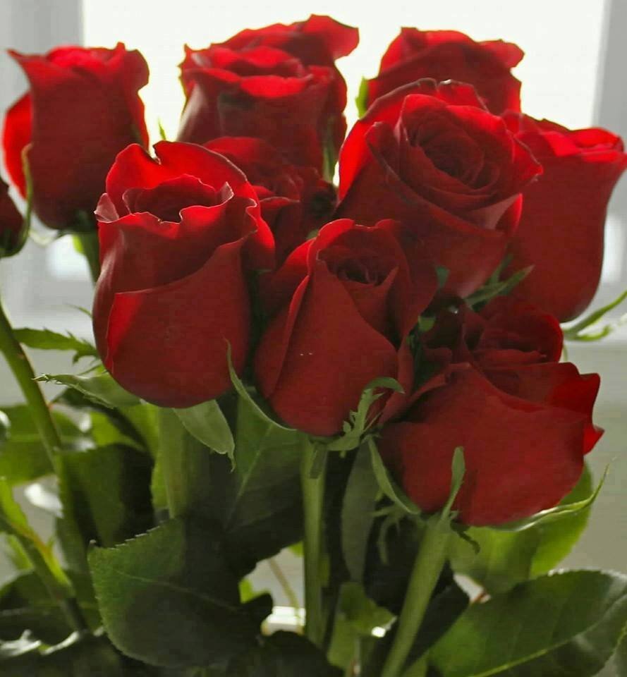 1000003172.jpg - Pieprz_i_wanilijka