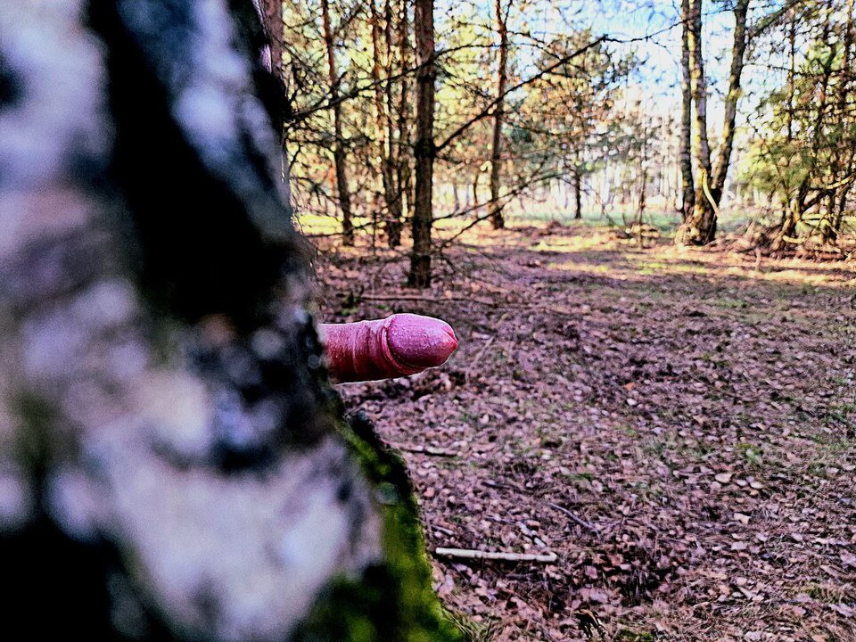 Szukam pięknej łani.jpg - Goodparka