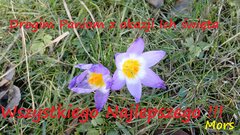 Najserdeczniejsze życzenia !!!!!