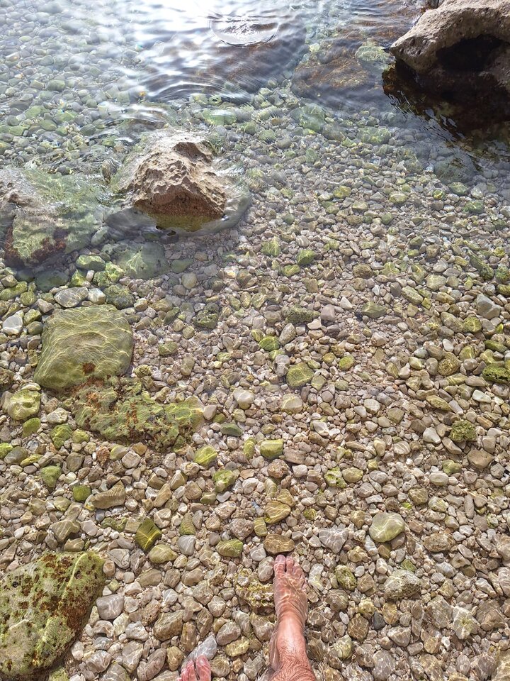 IMG-20250308-WA0002.jpg - cvrcak