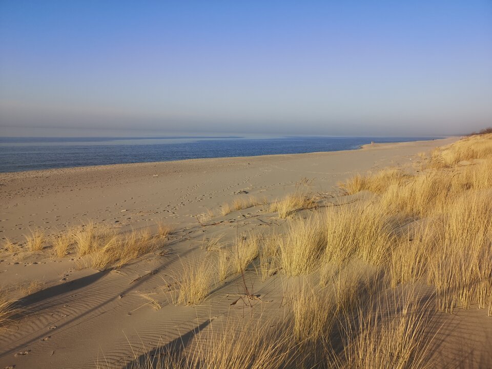 IMG_20250308_160537.jpg - crivakris4443