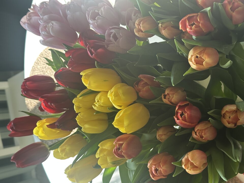 IMG_4062.jpeg - Zawszerazem1975