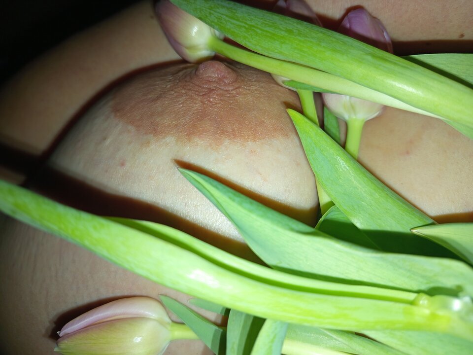 1000011881.jpg - Ciekawi_13