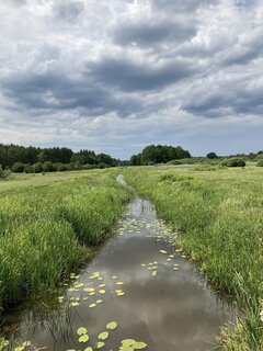 IMG_7073.jpeg