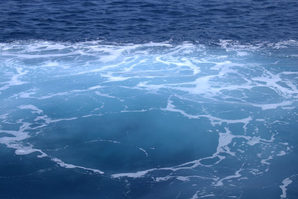 28.jpg - BezpanskaPsina