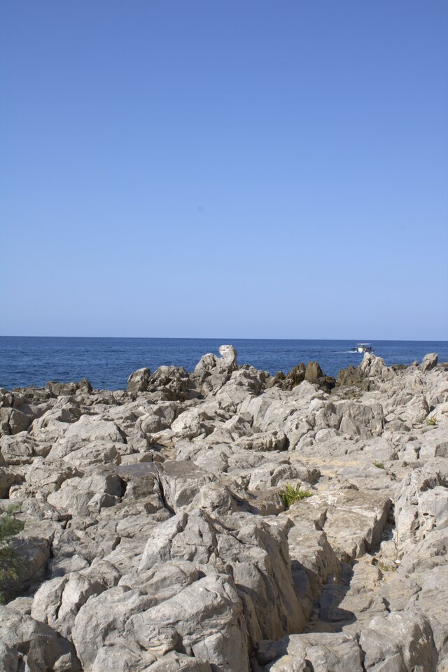 30.jpg - BezpanskaPsina