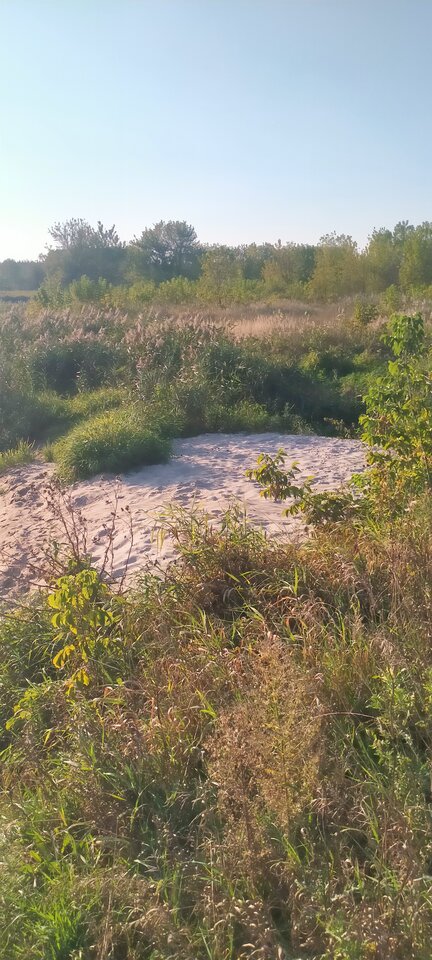 0faf2981-5d4c-410e-ad85-5fca28fcfa69-1_all_134.jpg - Wszolek