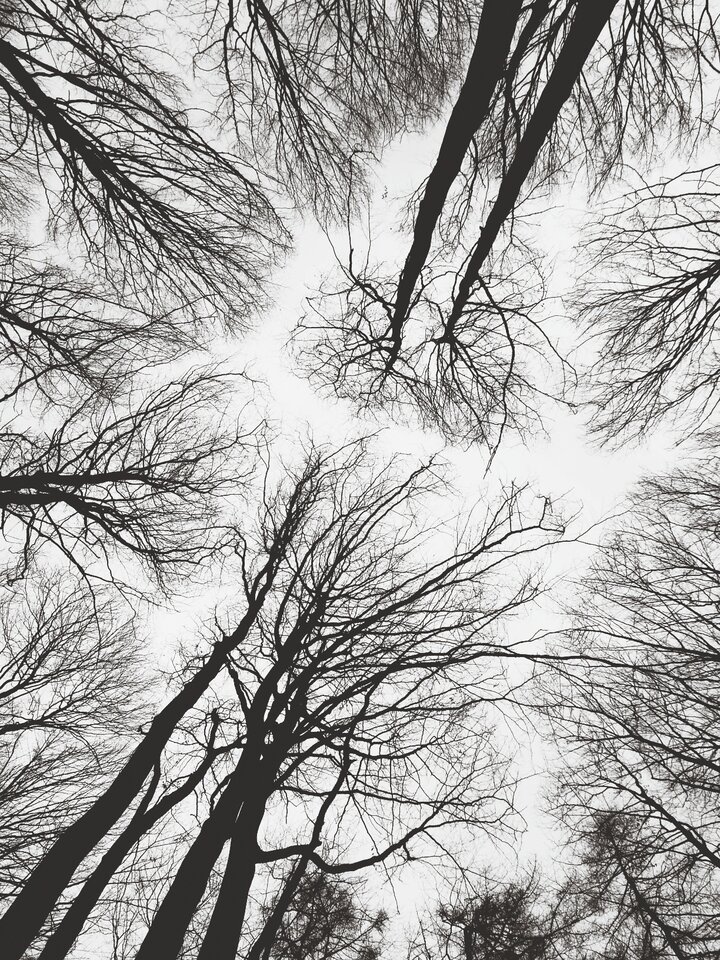 1000007632.jpg - Pedro1997r