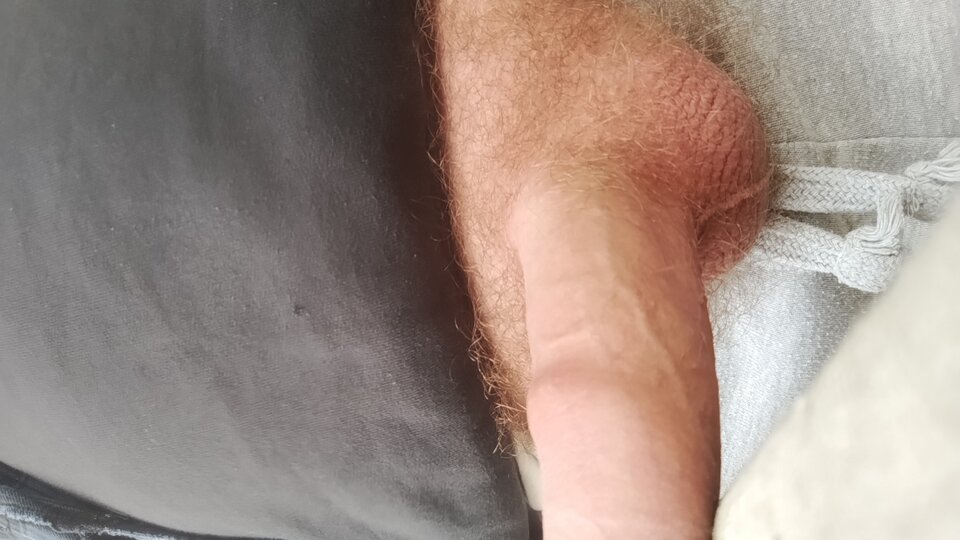 IMG_20250309_101332065_PORTRAIT.jpg - lublin81