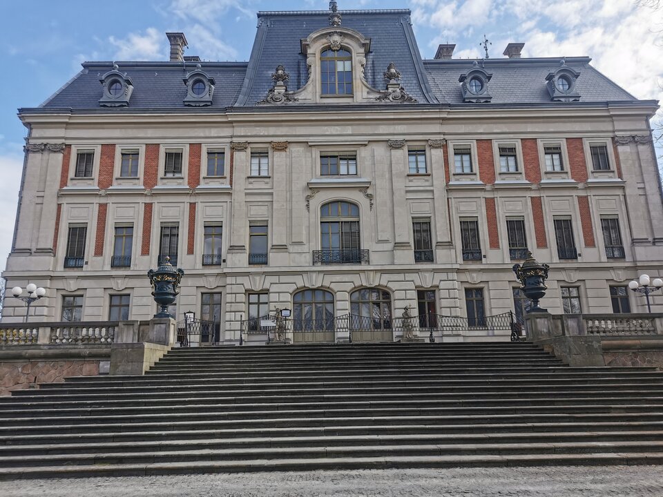 IMG_20250309_111141.jpg - BezpanskaPsina