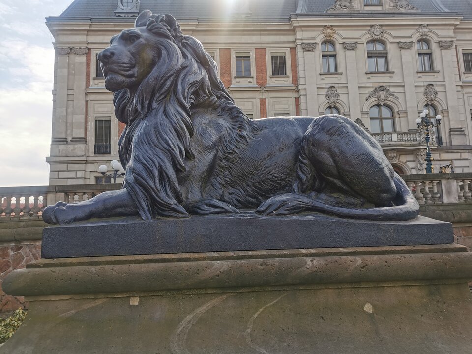 IMG_20250309_120202.jpg - BezpanskaPsina