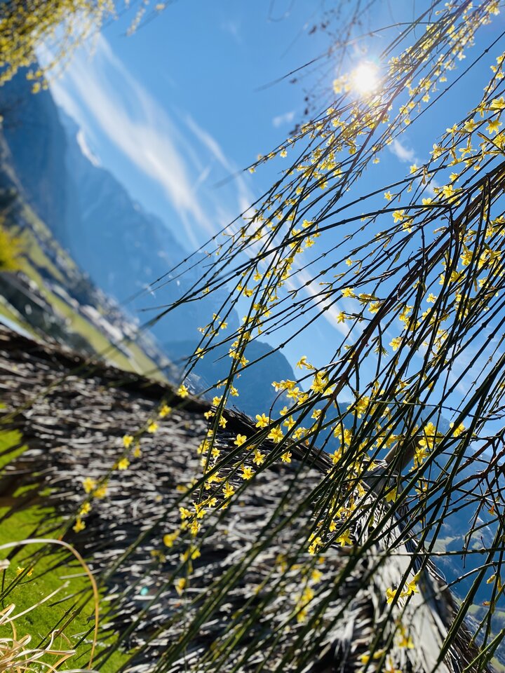 IMG_2338.jpeg - May_Day