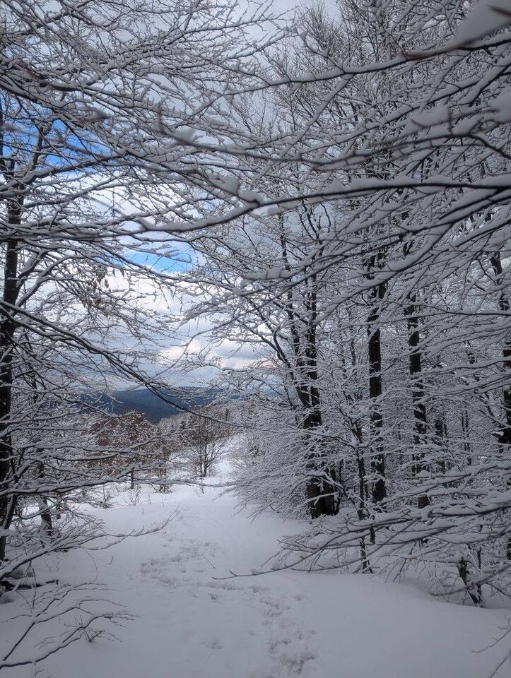 image000000 (24).jpg - BedeOpowiadal