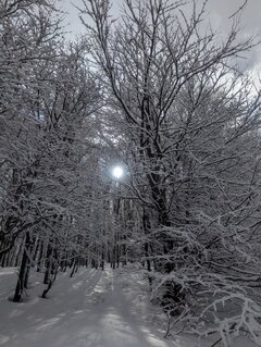 image000000 (23).jpg