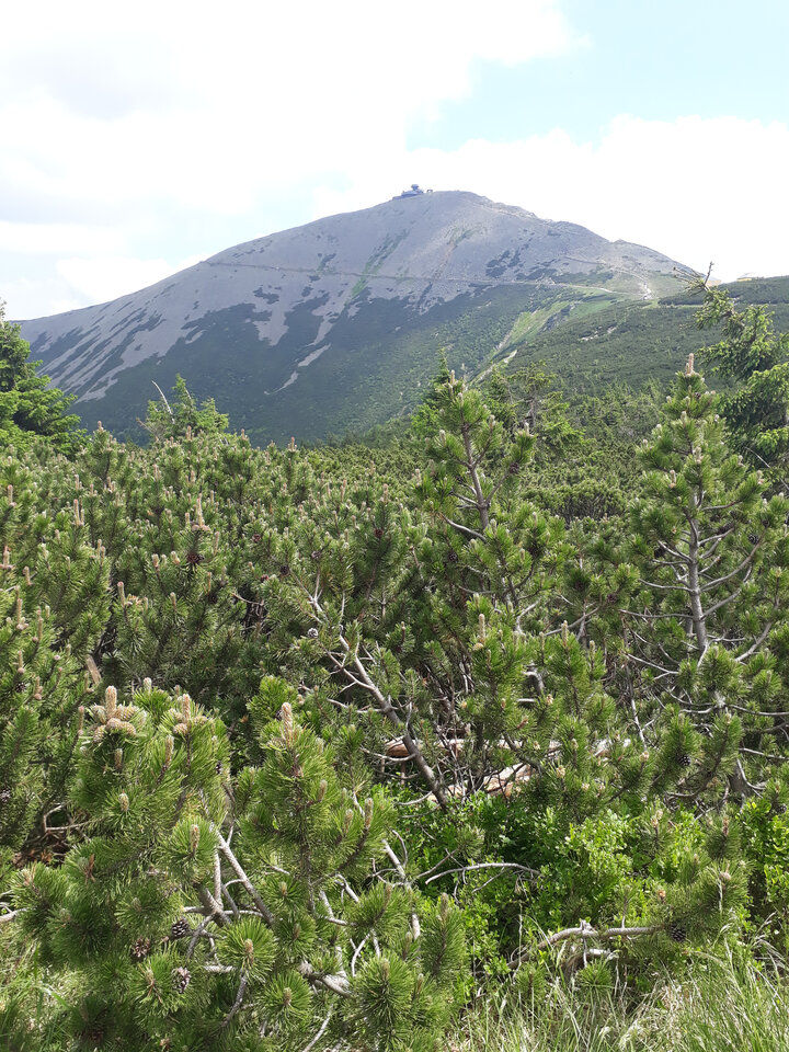 zb1.jpg - PawelWwa89