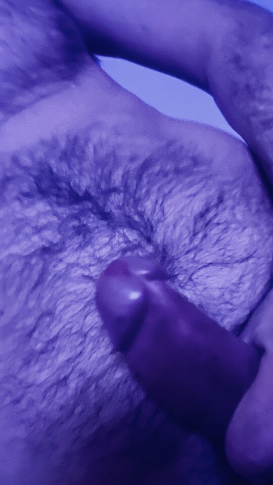 IMG_3555.jpeg - bondjames728