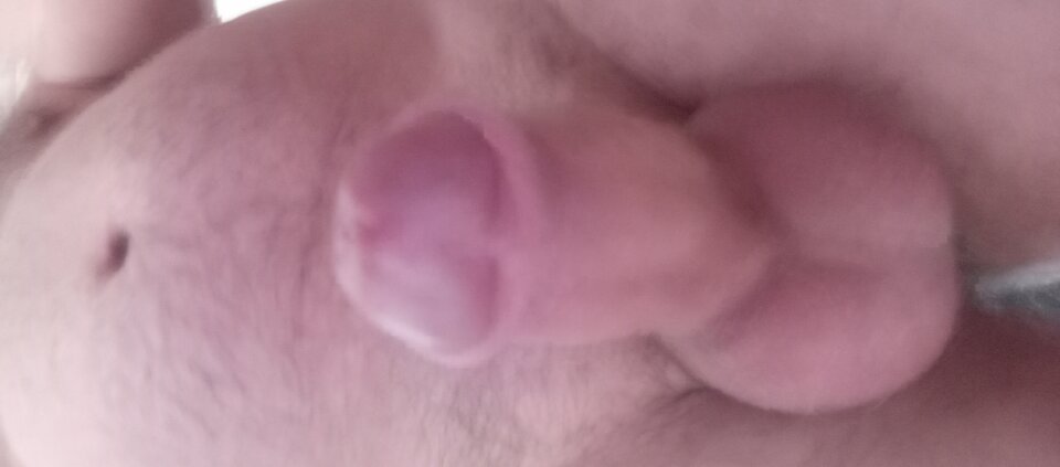 1000001202.jpg - Ralf466