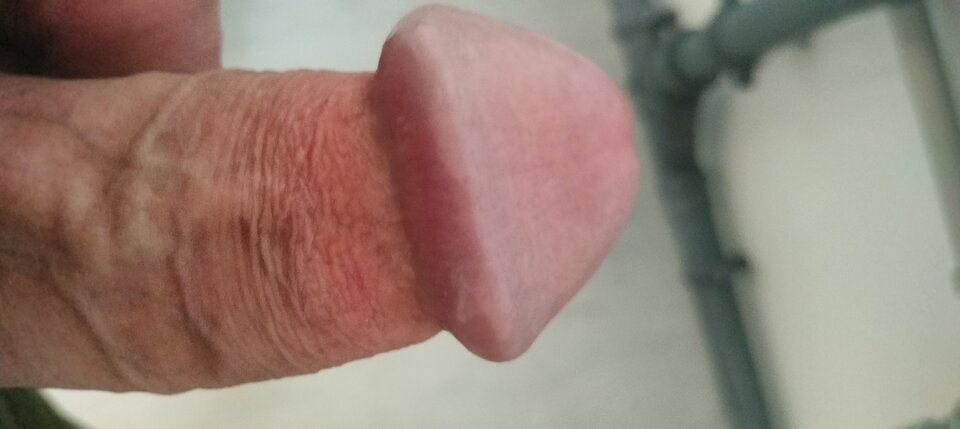 1000032210.jpg - szatan24