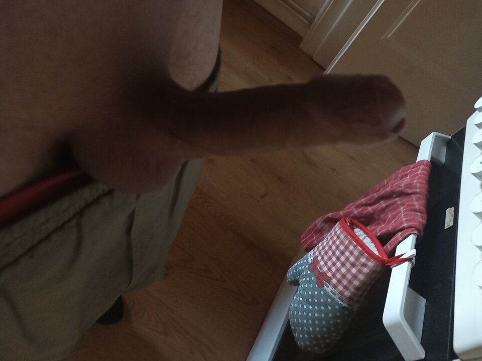 1740067020378169111054556016898.jpg - Rysko94