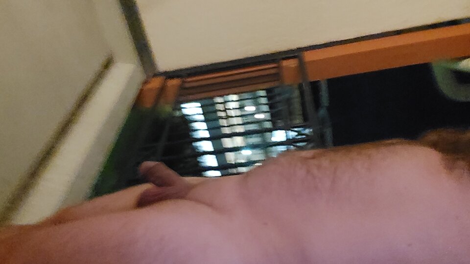 1741733692229551757266899261759.jpg - bi79bi